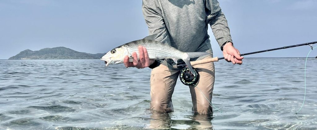 Angler holding a bonefish on a guided Roatan fly fishing trip
