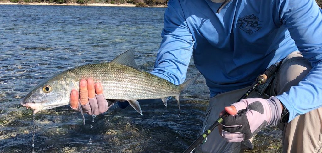 Beginner angler landing a first bonefish with a guide in Roatan